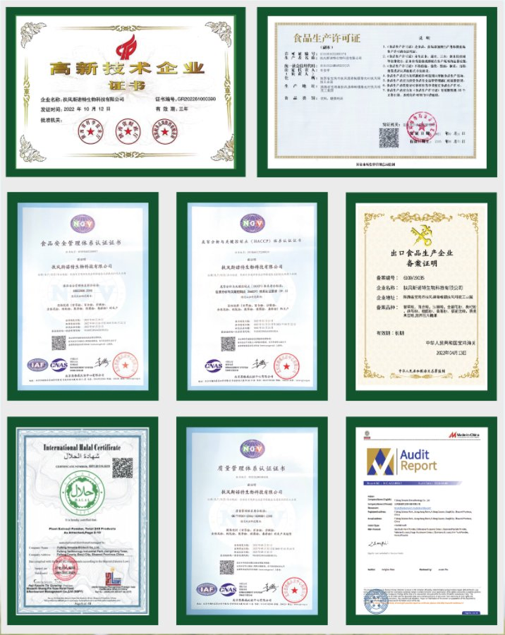 Extracto de té Oolong (Camellia Sinensis) estandarizado Otpp y polifenoles, bloqueador de grasa premium y potenciador metabólico
