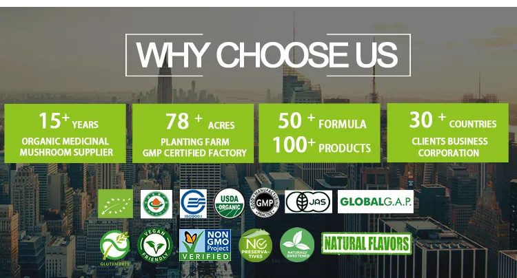 Extracto en polvo de champiñón Maitake de alta pureza certificado orgánico