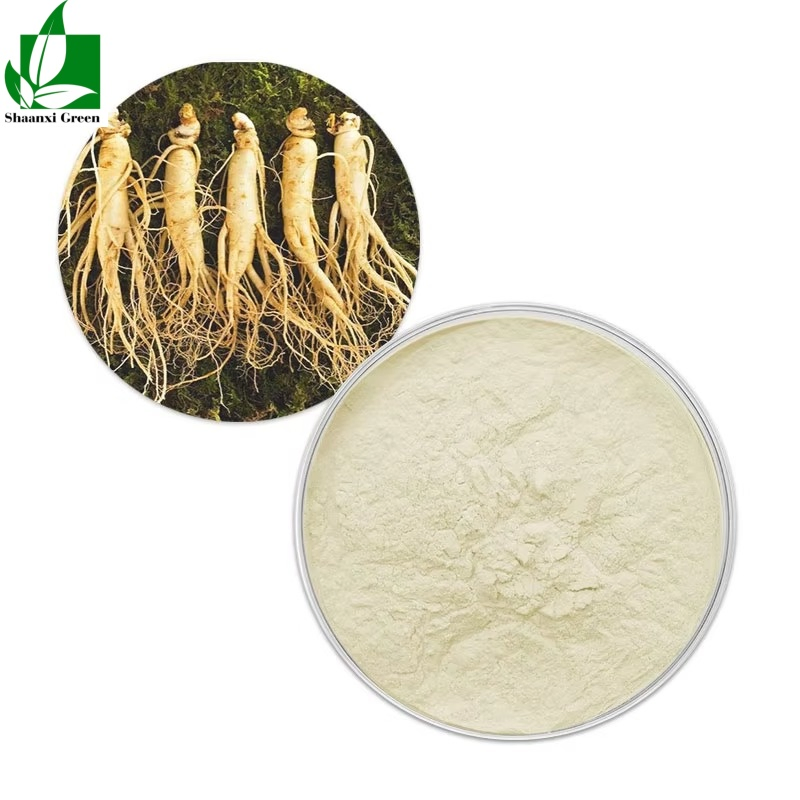 Extracto de tallo y hoja de ginseng panax natural certificado por la FDA 20% ginsenósidos