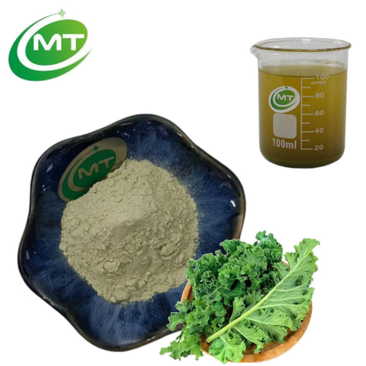 Extracto Herbal Natural Extracto de Vegetales Verdes Suplemento Dietético Apoyo a la Digestión Polvo de Col Rizada
