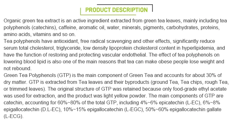 Suministrar extracto de té verde orgánico precio extracto de té verde salud alta calidad
