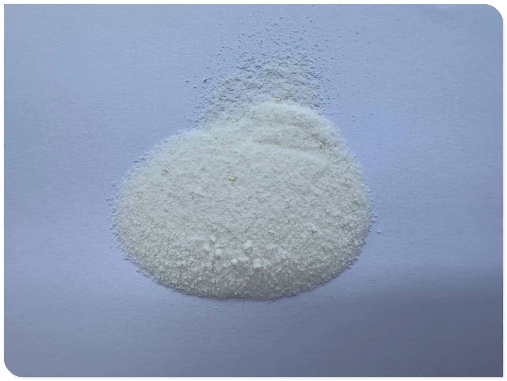 Polvo de BCAA tropical premium para un soporte superior en la recuperación muscular