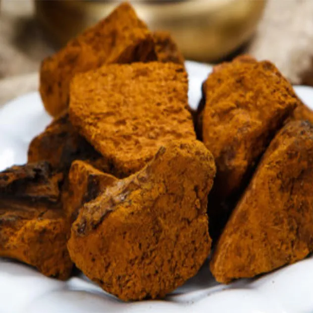 Extracto en polvo de chaga orgánico premium para el bienestar
