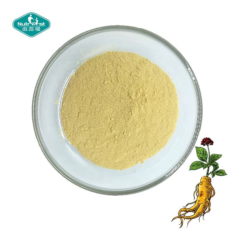 Extracto de hierbas apoya la función inmune, extracto en polvo de ginseng panax para el estado de ánimo, función cognitiva, energía y estrés