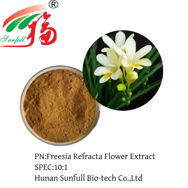 Extracto de Flor de Freesia Refracta 10: 1 Extracto Botánico Concentrado Natural de Freesia en Polvo