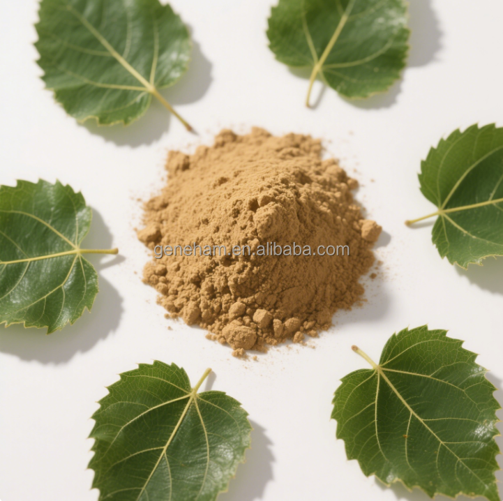 Dnj 8% Extracto en polvo de hoja de morera de grado alimenticio certificado halal suplemento verde