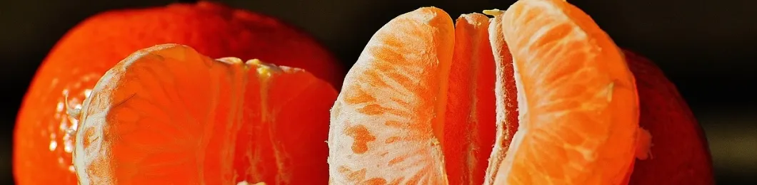 Polvo de enzima de cítricos sin muestras, polvo de fruta, buen sabor