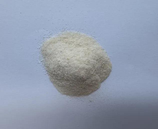 Polvo de BCAA tropical premium para un soporte superior en la recuperación muscular