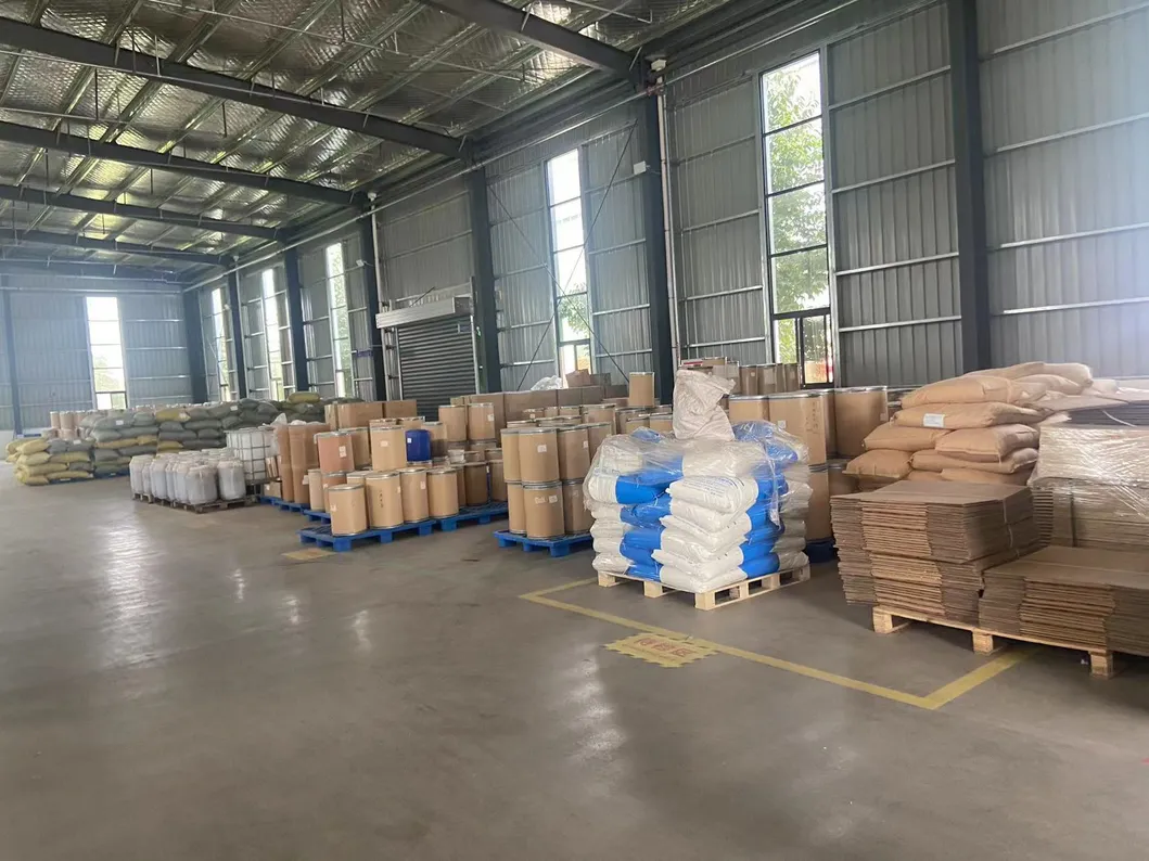 Polvo de basura vegetal seco Precio razonable Verde de basura Extarct Orgánico Polvo