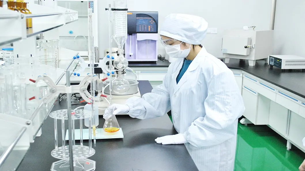 Extracto de hierbas apoya la función inmune, extracto en polvo de ginseng panax para el estado de ánimo, función cognitiva, energía y estrés