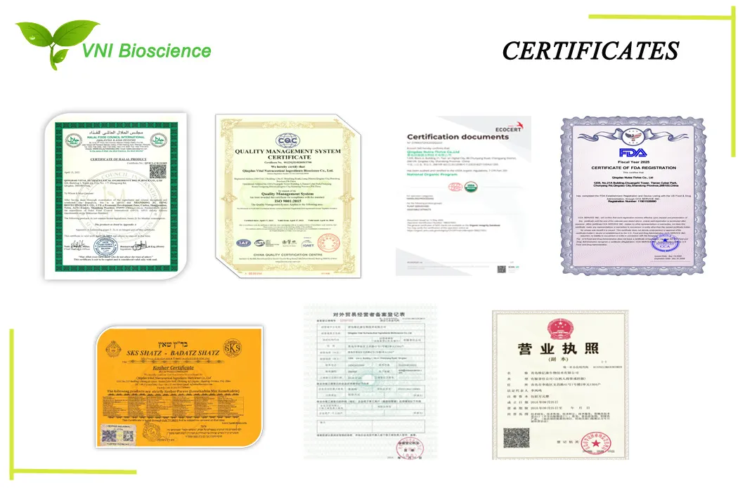 HACCP Certificado Kosher 100% Polvo Natural de Vitamina C de Fruta Polvo de Cítricos Sinensis