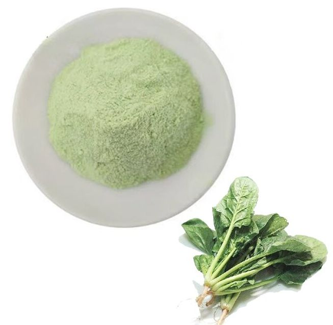 Polvo de espinaca verde natural de alta calidad, extracto vegetal de espinaca, polvo de espinaca para necesidades nutricionales