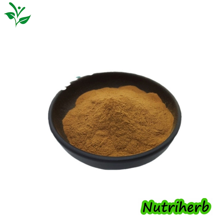 Suplemento de Salud de Suministro a Granel CAS 125-46-2 Extracto Natural de Liquen 98% Ácido Usnico Polvo de Extracto Herbal de Planta