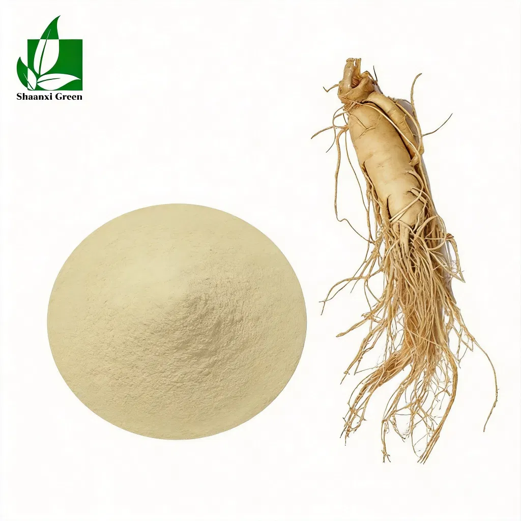 Extracto de tallo y hoja de ginseng panax natural certificado por la FDA 20% ginsenósidos