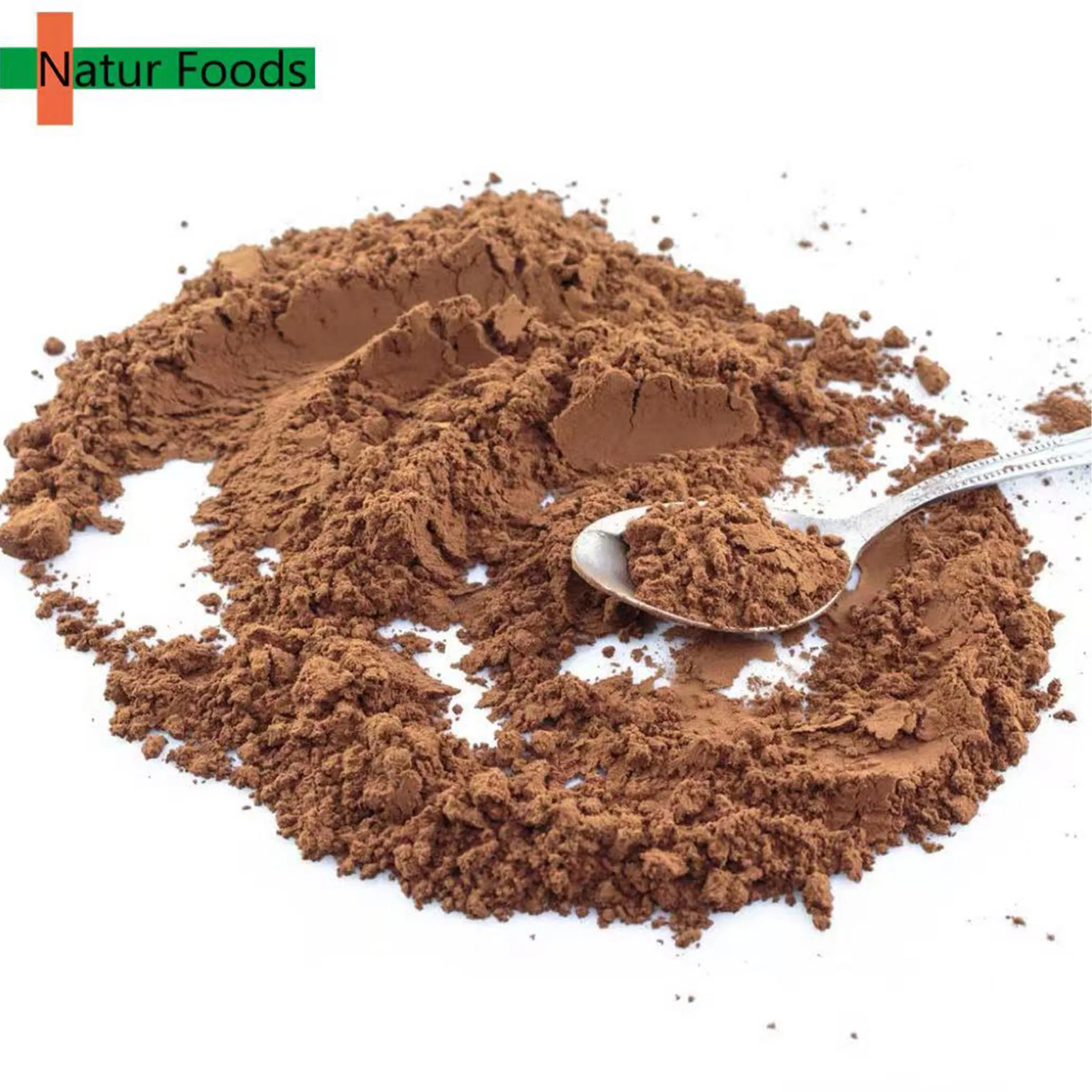 Extracto en polvo de chaga orgánico premium para el bienestar