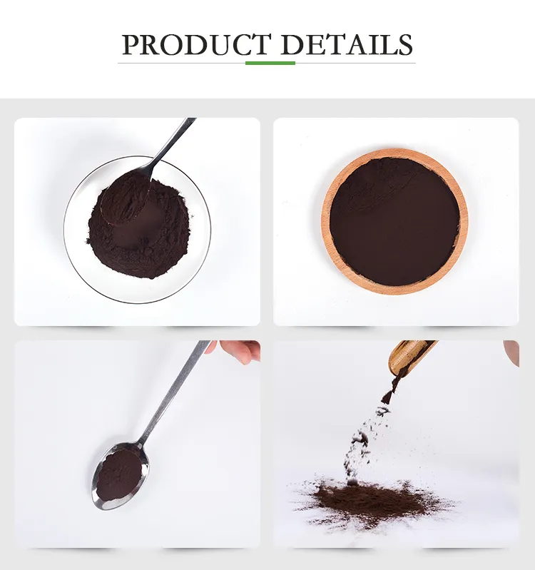 Extracto en polvo de hongo Chaga de grado alimenticio, fuente natural