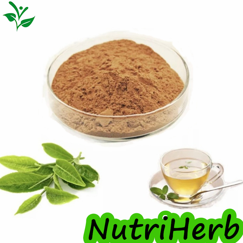 Extracto de hoja de té verde en polvo de polifenoles de té de grado natural 30%