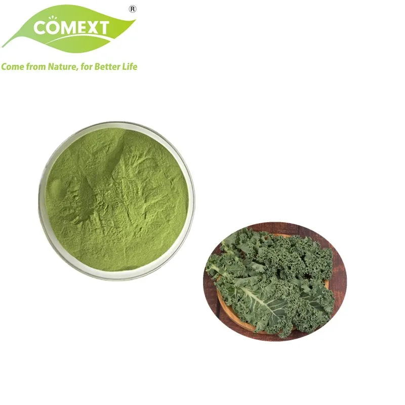Polvo de Col Verde Natural en Venta para Productos de Salud