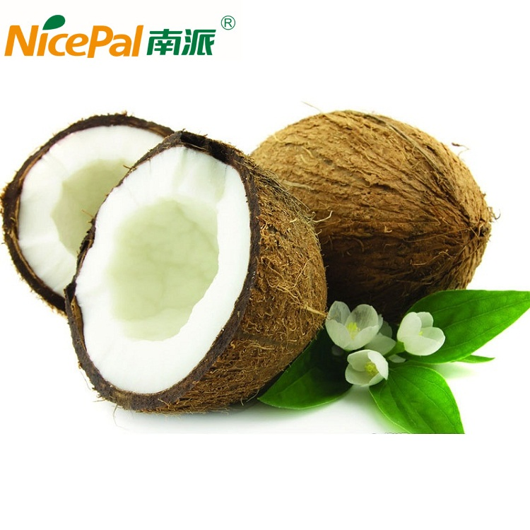 Polvo de fruta tropical Polvo de leche de coco