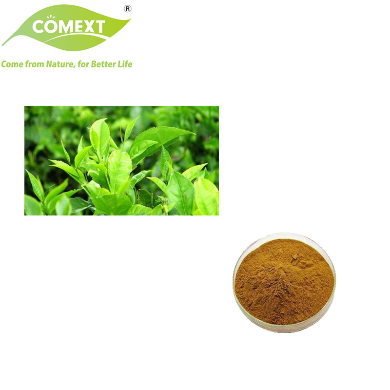 Comext Fabricante Precio Bajo Muestra Gratis Polvo de Té Polvo de Hoja de Té Polifenoles de Té EGCG Extracto de Hoja de Té Verde para Pérdida de Peso Cosméticos Aditivos para Piensos