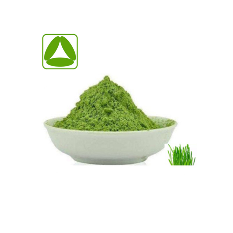 Extracto de cebada verde en polvo, polvo puro de cebada verde