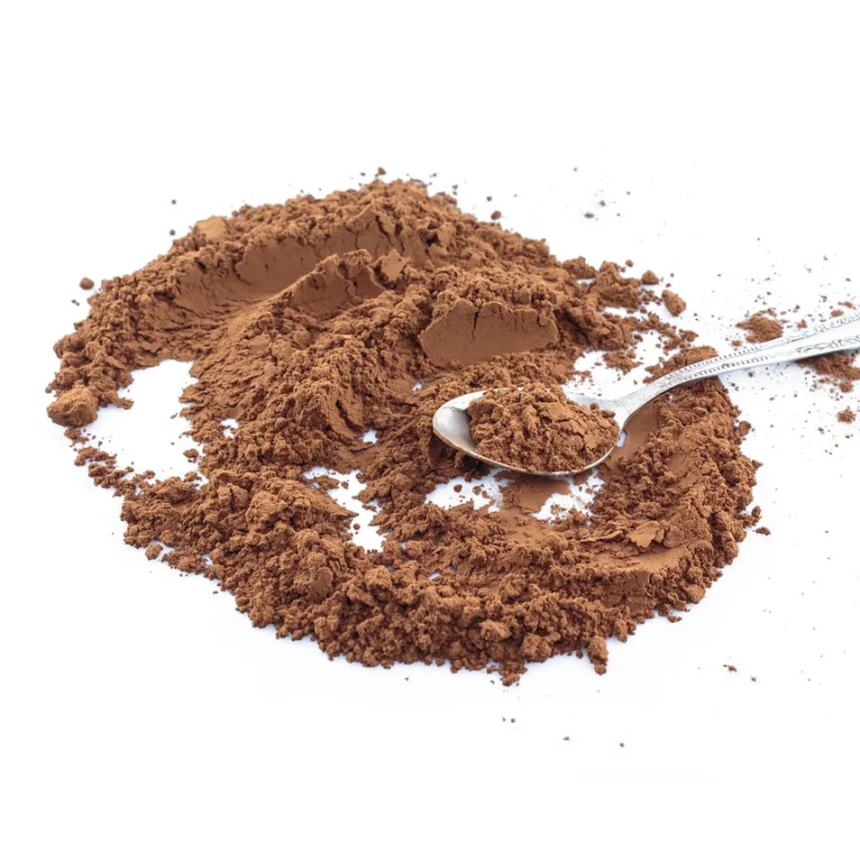 Extracto en polvo de chaga orgánico premium para el bienestar