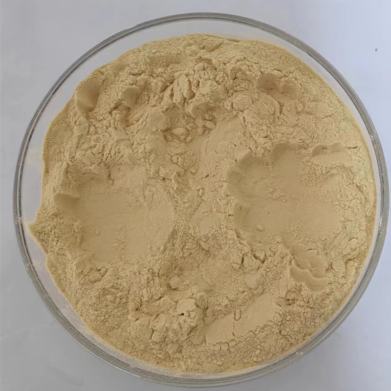 Polvo de extracto de yacón, polvo de jugo concentrado de fruta de yacón