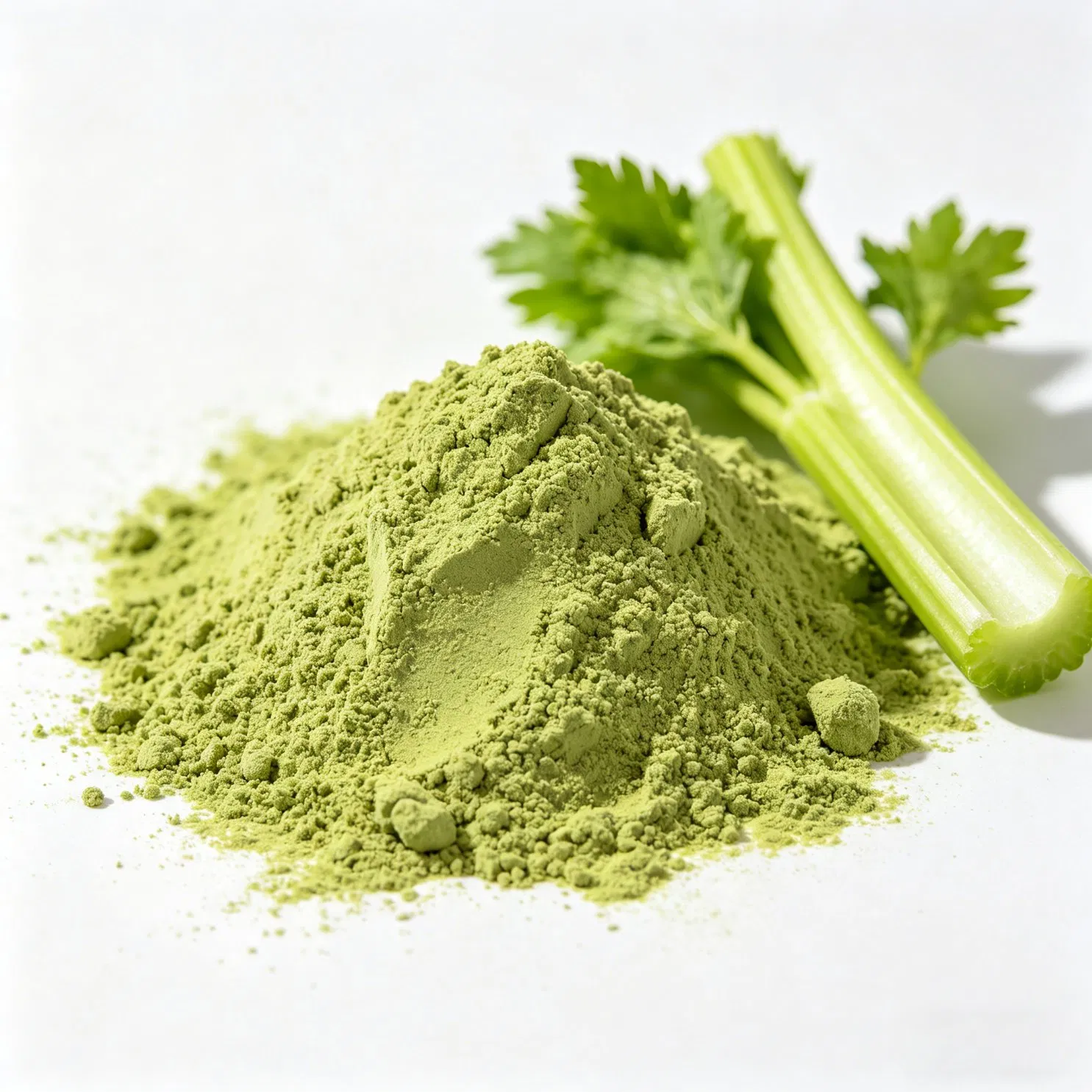 Extracto de semillas de verduras frescas, extracto de raíces, extracto de hojas secas, polvo de apio puro y fragante de China