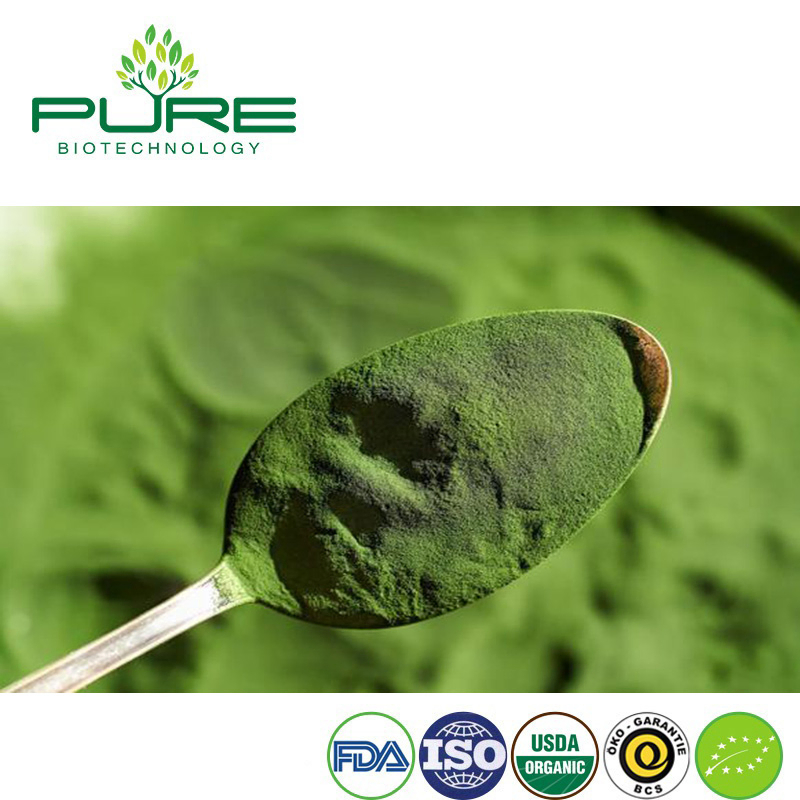 Polvo de superalimento de espirulina y chlorella orgánica para el bienestar