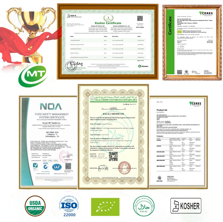 Muestra gratuita de extracto en polvo de menta natural y fragante para claridad cognitiva