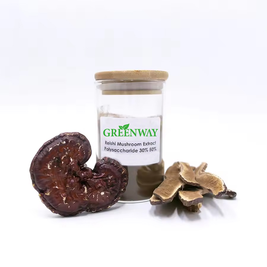 Suministro de fábrica OEM Productos de salud Mezcla de champiñones 100% Extracto de champiñón Reishi orgánico Polvo de Ganoderma Lucidum natural