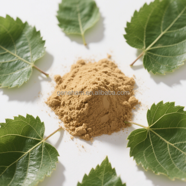 Dnj 8% Extracto en polvo de hoja de morera de grado alimenticio certificado halal suplemento verde