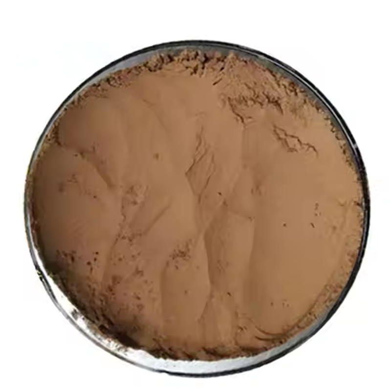 Venta al por mayor de alta calidad 10: 1 polvo de extracto de hongo reishi orgánico