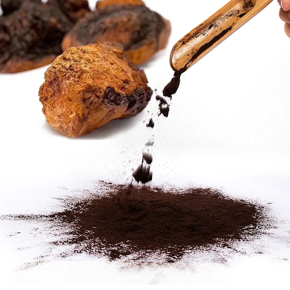 Extracto en polvo de hongo Chaga
