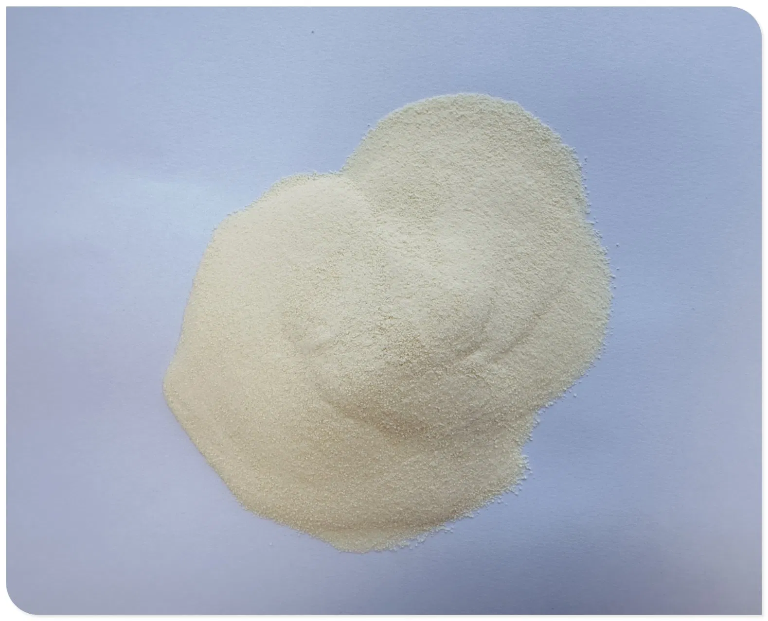 Polvo de BCAA tropical premium para un soporte superior en la recuperación muscular