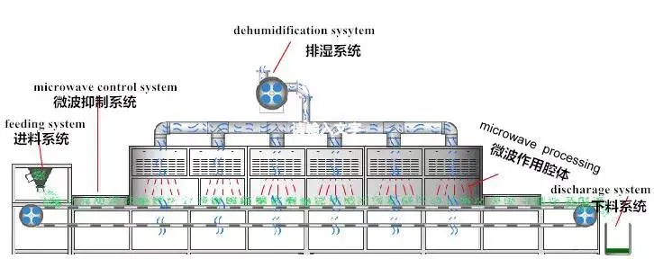 Máquina de secado por microondas para la esterilización de polvo de wasabi en túneles industriales