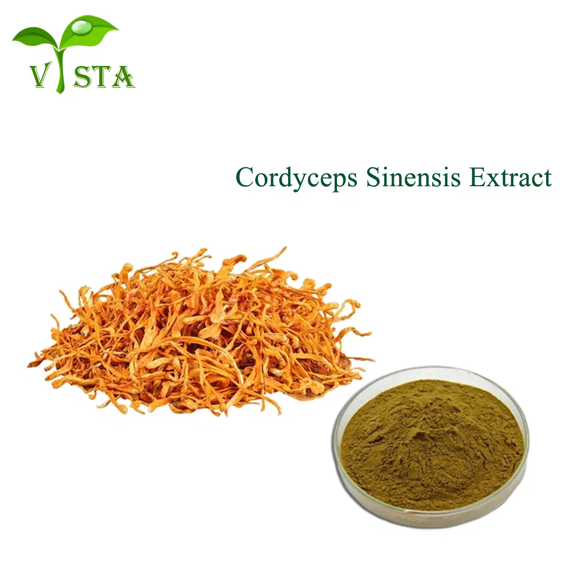 Extracto de Cordyceps Militaris Extracto de alta calidad en polvo de Cordyceps Extracto natural en polvo de hongo Cordyceps Sinensis
