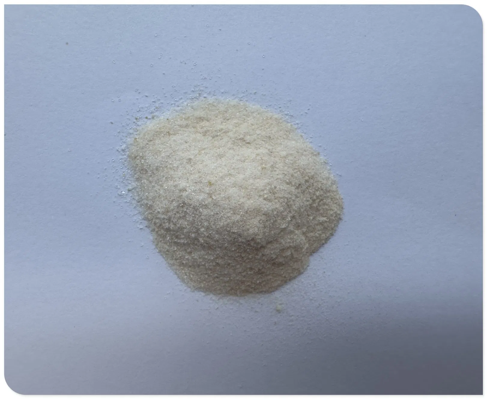 Polvo de BCAA tropical premium para un soporte superior en la recuperación muscular