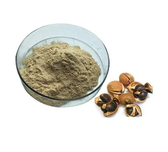 Polvo de hoja de moringa orgánica personalizada de OEM, superalimento verde, polvo de semilla de té verde