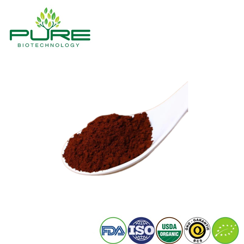 Extracto en polvo de hongo Reishi orgánico para aumentar la energía