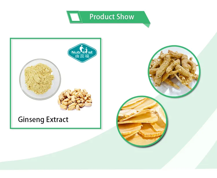 Extracto de hierbas apoya la función inmune, extracto en polvo de ginseng panax para el estado de ánimo, función cognitiva, energía y estrés
