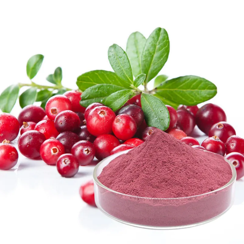 Polvo de Arándano Natural - Superalimento Rico en Antioxidantes para la Salud