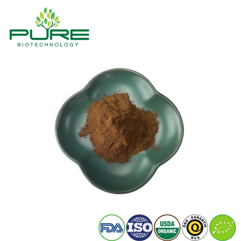 Extracto en polvo de hongo Reishi orgánico para aumentar la energía