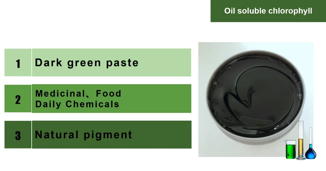 Extracto de hoja de morera de grado médico soluble en agua, polvo de clorofilina de sodio y cobre