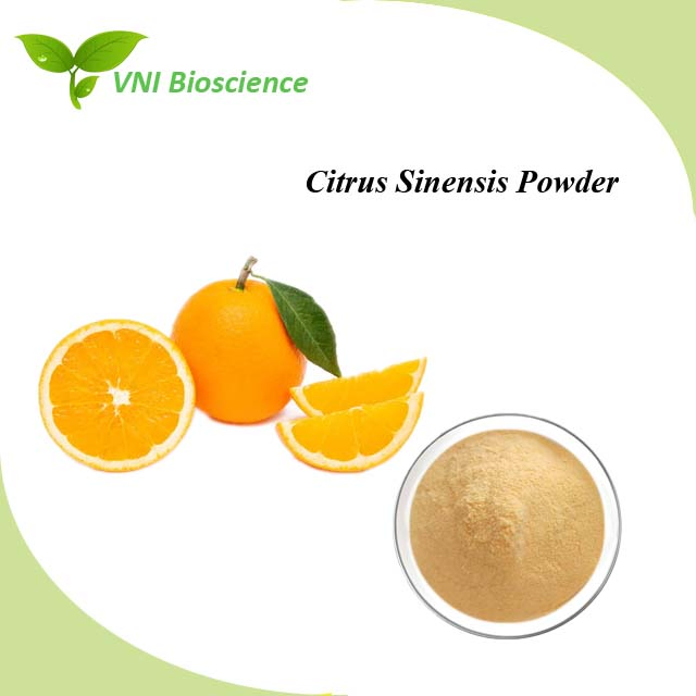 Certificado ISO Kosher 100% Polvo de Fruta Natural Polvo de Cítricos Sinensis