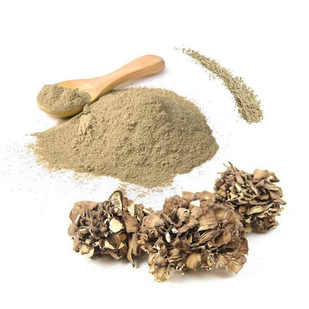 Extracto en polvo de champiñón Maitake de alta pureza certificado orgánico