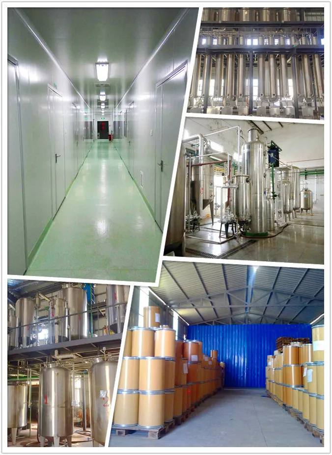 Instalaciones de producción del fabricante
