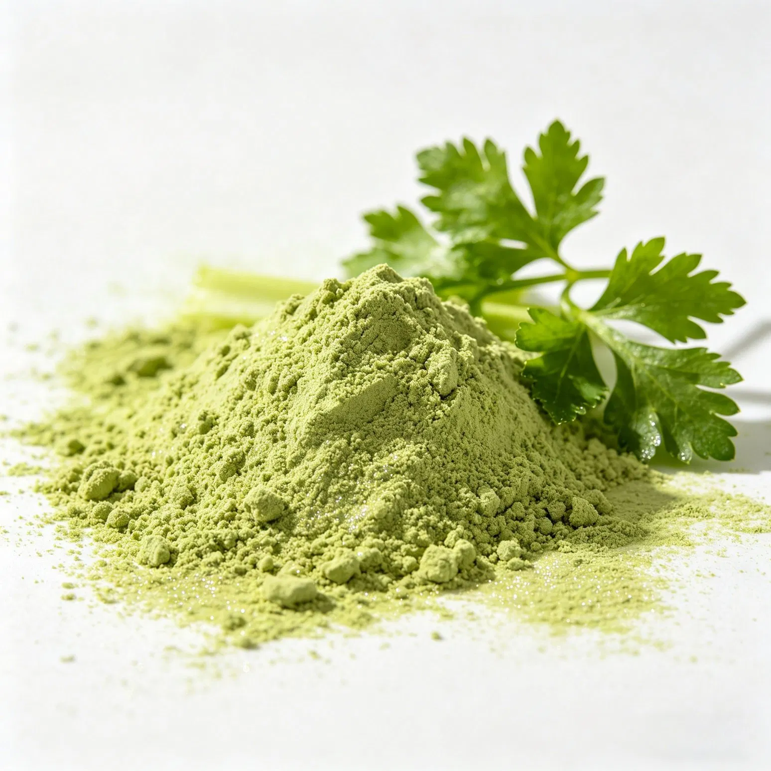 Extracto de hojas secas de verduras frescas, polvo de apio verde de China