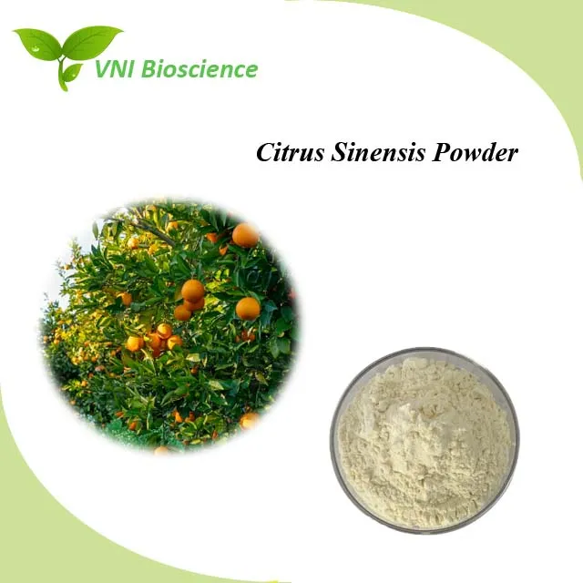 Certificado ISO Kosher 100% Polvo de Fruta Natural Polvo de Cítricos Sinensis