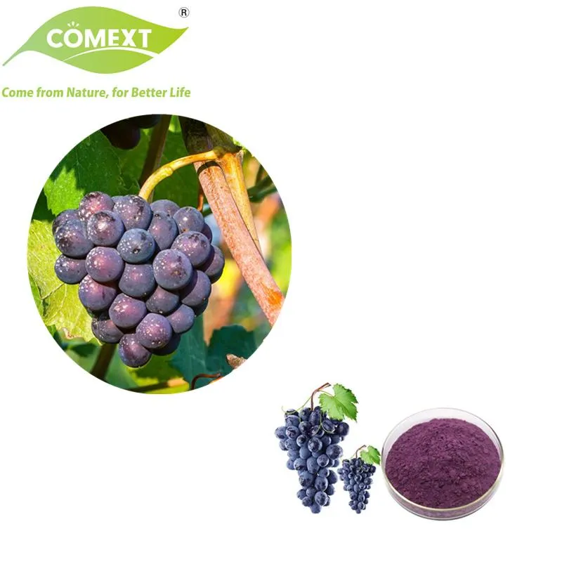 100% Alimento Natural Mantener Belleza Superalimento Aditivo Alimentario Extracto de Fruta Orgánica Polvo de Uva Liofilizado